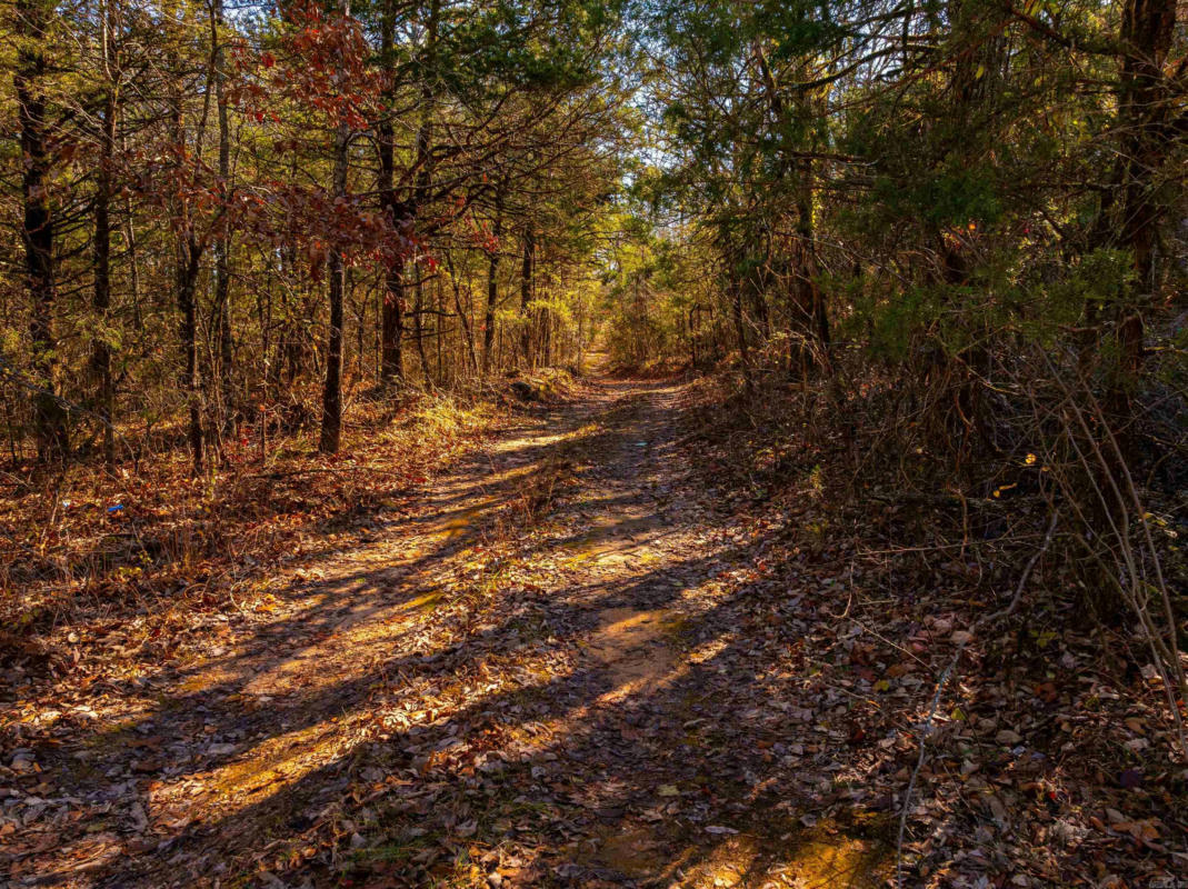 0 PROVIDENCE RD, EVENING SHADE, AR 72532, photo 1 of 13