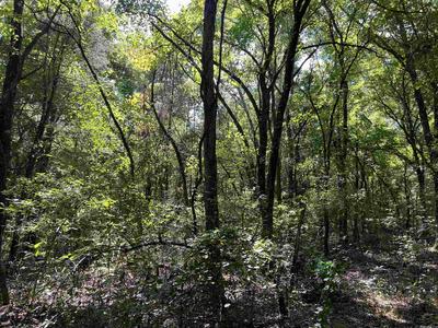 6.13 ACRES OFF OF MEADOW CREEK DRIVE, HARRISON, AR 72601, photo 4 of 7