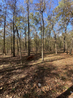 LOT 3 GRIZZLY ROAD, ROYAL, AR 71968, photo 2 of 3