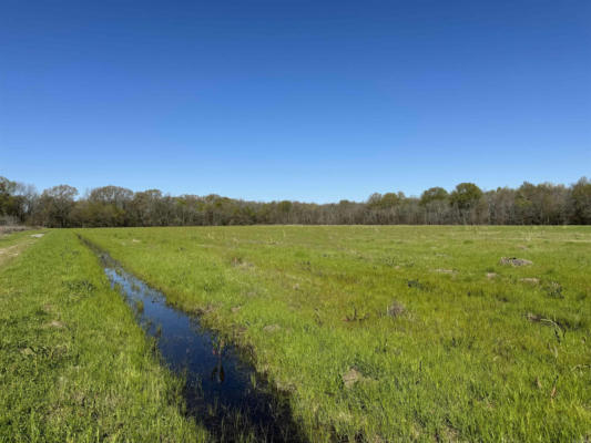 VACANT LAND CATER LANE, MCGEHEE, AR 71654 - Image 1