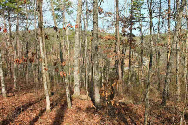 LOT 5 MOUNTAIN AIRE EAST LAKESIDE, HEBER SPRINGS, AR 72543, photo 2 of 5
