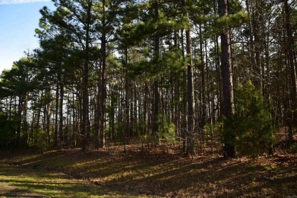LOT 28 MUSTANG DRIVE, CLINTON, AR 72031, photo 3 of 8
