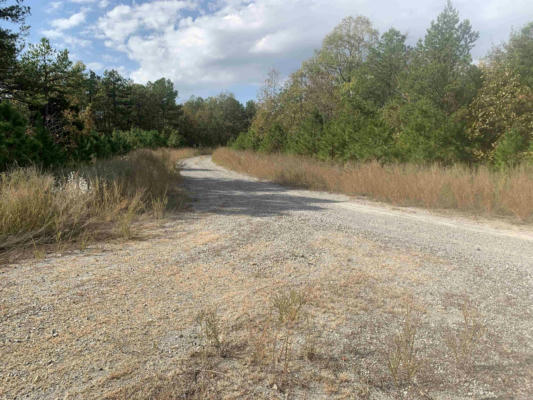 000 OLD DUG ROAD ROAD, BEE BRANCH, AR 72013, photo 2 of 50
