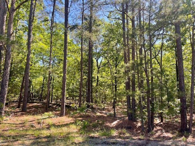LOT 2 SUNSET TRAIL, NORTH LITTLE ROCK, AR 72118, photo 1 of 4