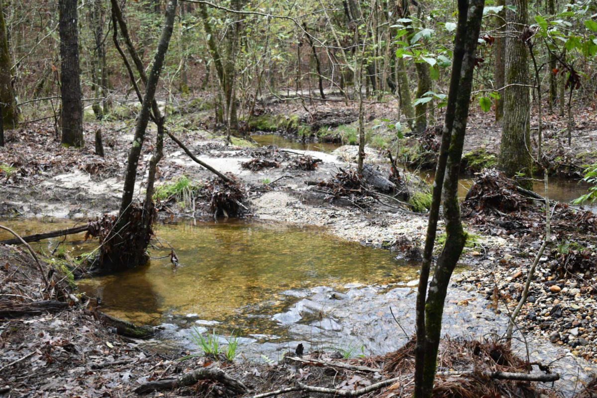 S GRANT CUTOFF ROAD, MALVERN, AR 72104, photo 1 of 50