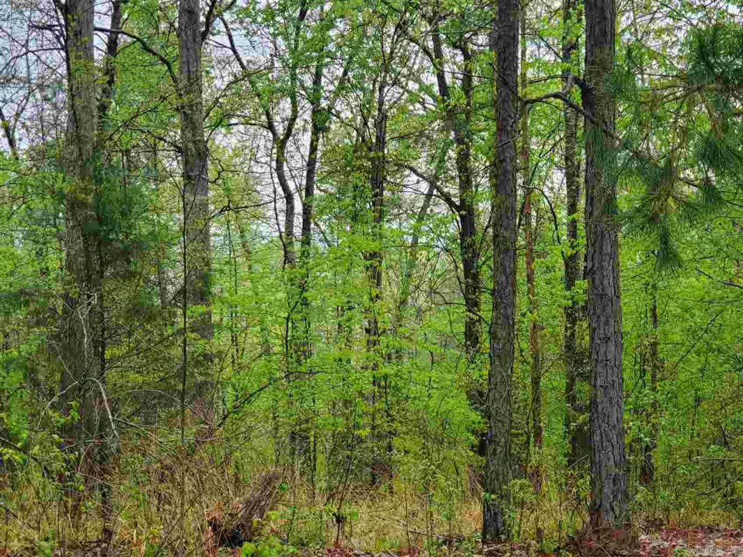LOT 770A PLUM HOLLOW, HOT SPRINGS, AR 71913, photo 1 of 10