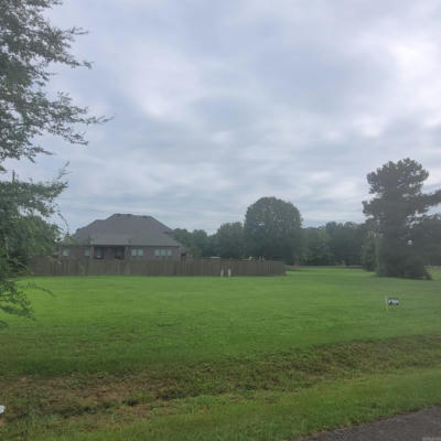 LOT 45 WILDWOOD COVE, PERRYVILLE, AR 72126 - Image 1