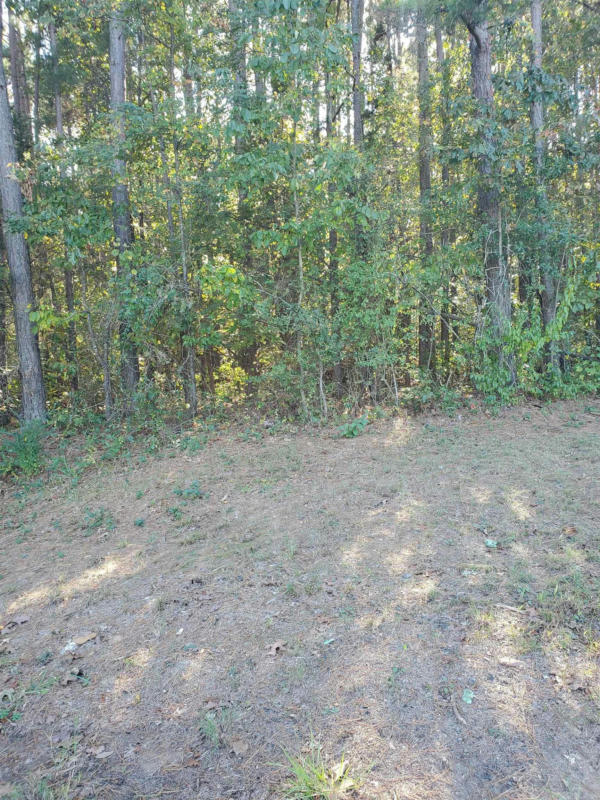 00 COUNTRY WOOD, QUITMAN, AR 72131, photo 1 of 5