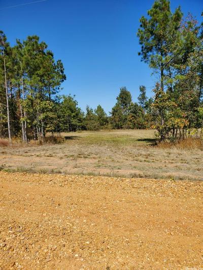 LOT 2 YOUNG PINES, RISON, AR 71665, photo 2 of 6