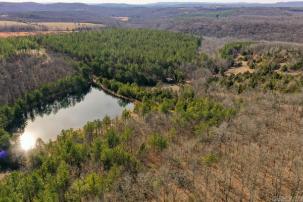 000 DODD MOUNTAIN ROAD, SHIRLEY, AR 72153, photo 3 of 50