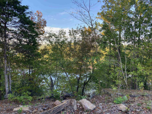 LOT 12 THE BLUFFS DRIVE, GREERS FERRY, AR 72067, photo 4 of 5