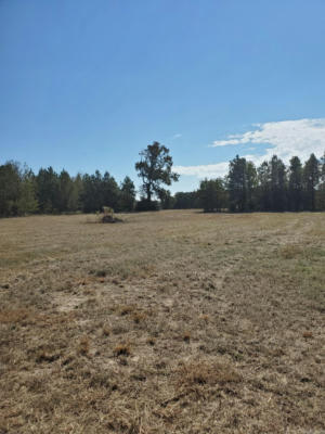 LOT 12 YOUNG PINES, RISON, AR 71665, photo 2 of 6