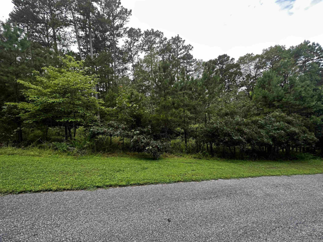 LOT 89 COBALT BAY DRIVE, SHIRLEY, AR 72153, photo 1 of 3