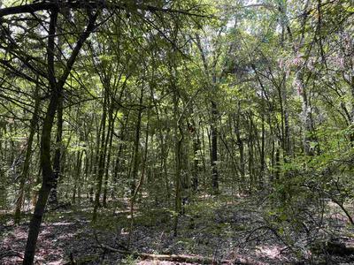 6.13 ACRES OFF OF MEADOW CREEK DRIVE, HARRISON, AR 72601, photo 5 of 7