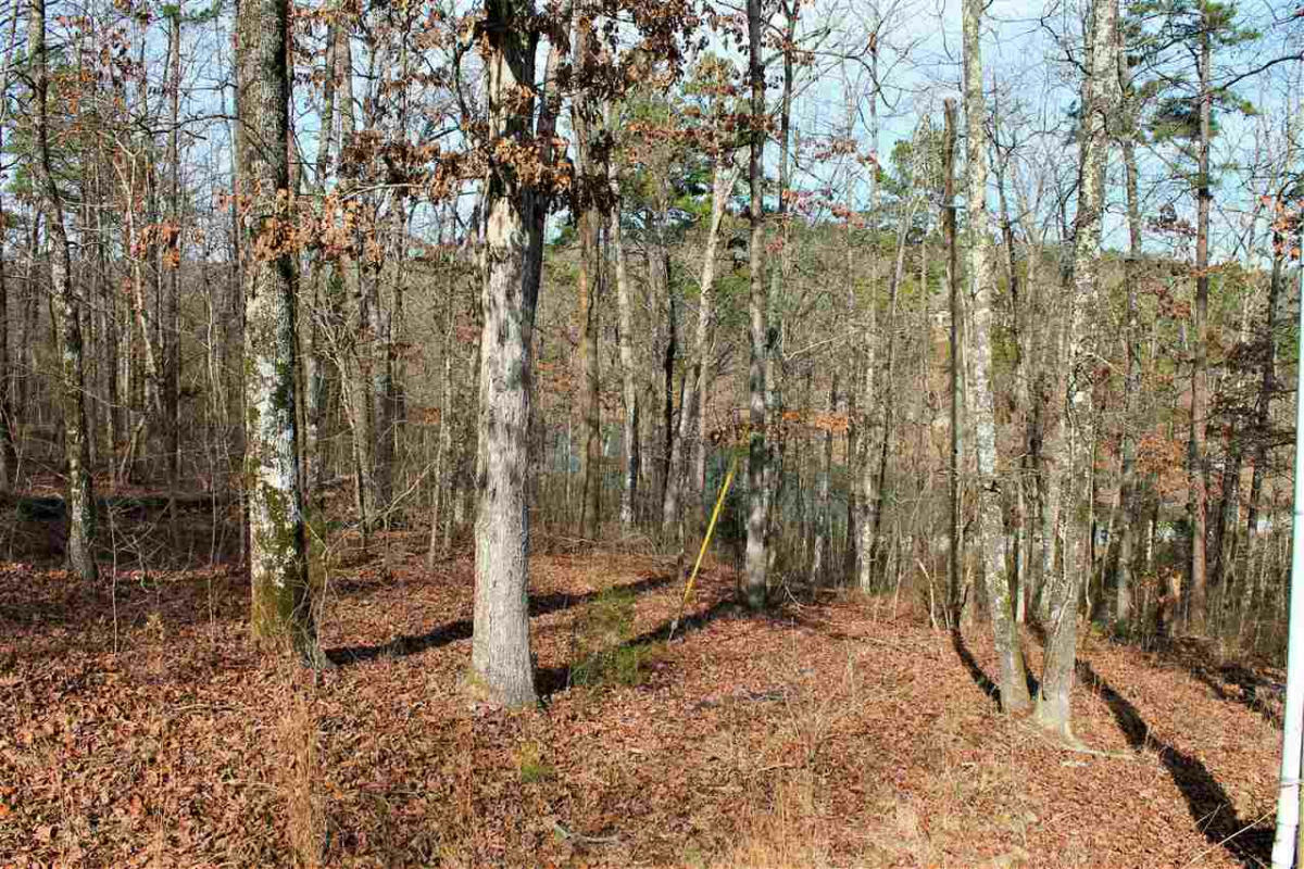 LOT 5 MOUNTAIN AIRE EAST LAKESIDE, HEBER SPRINGS, AR 72543, photo 1 of 5