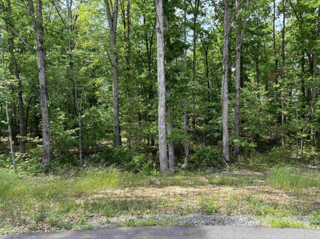 LOT 23 GRANT COUNTY ROAD 763, SHERIDAN, AR 72150, photo 1 of 9