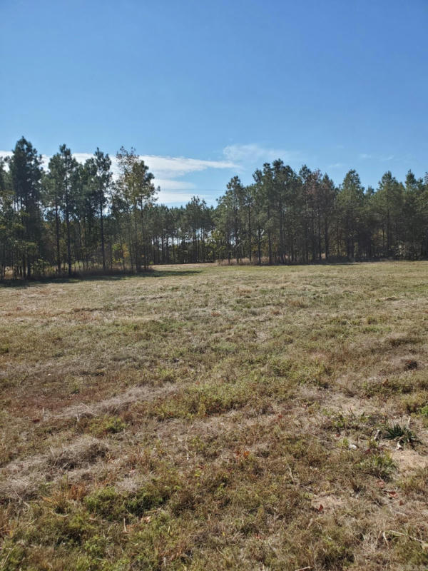 LOT 2 YOUNG PINES, RISON, AR 71665, photo 1 of 6