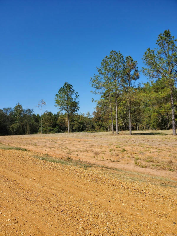 LOT 3 YOUNG PINES, RISON, AR 71665, photo 1 of 6