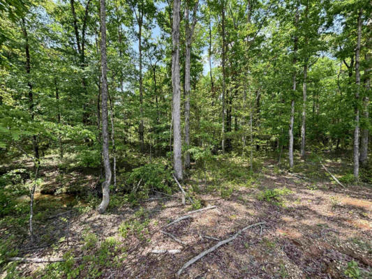 LOT 23 GRANT COUNTY ROAD 763, SHERIDAN, AR 72150, photo 2 of 9