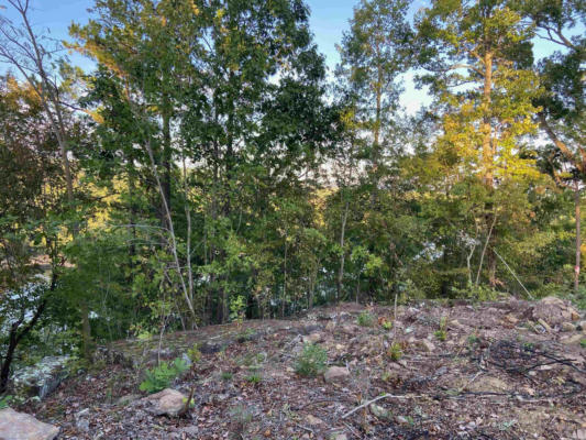 LOT 12 THE BLUFFS DRIVE, GREERS FERRY, AR 72067, photo 5 of 5