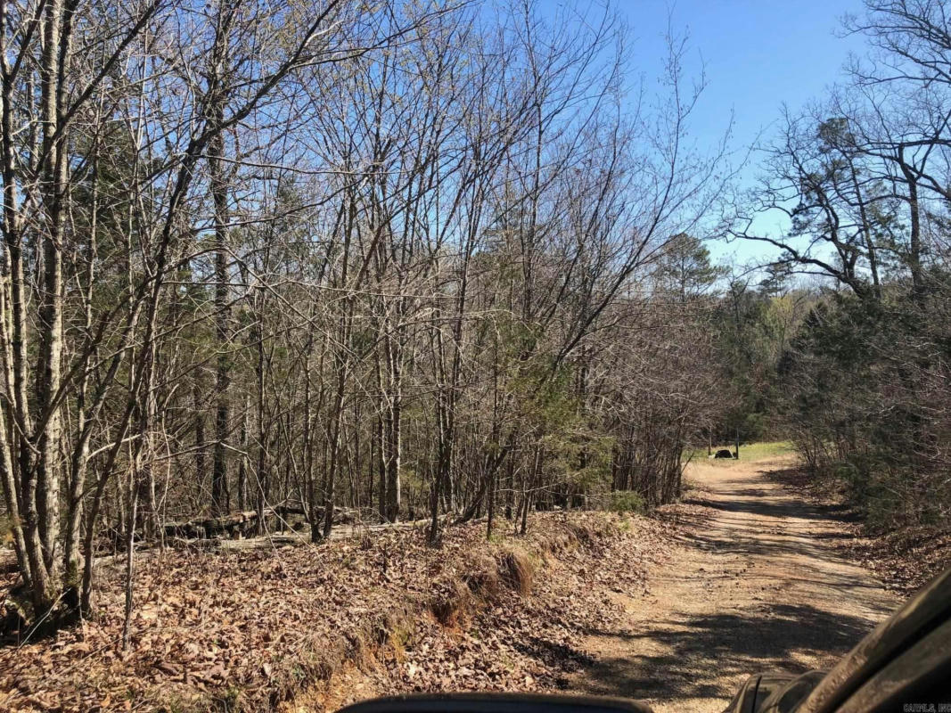 TBD ALEXANDER LANE, MENA, AR 71953, photo 1 of 8